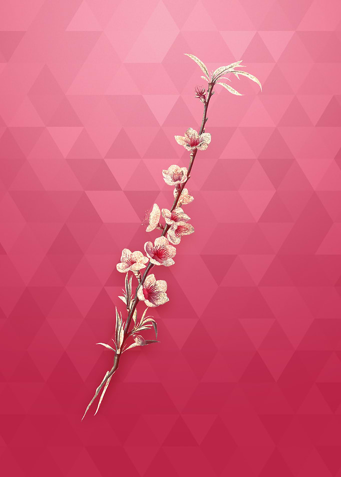 Vintage Peach Blossoms