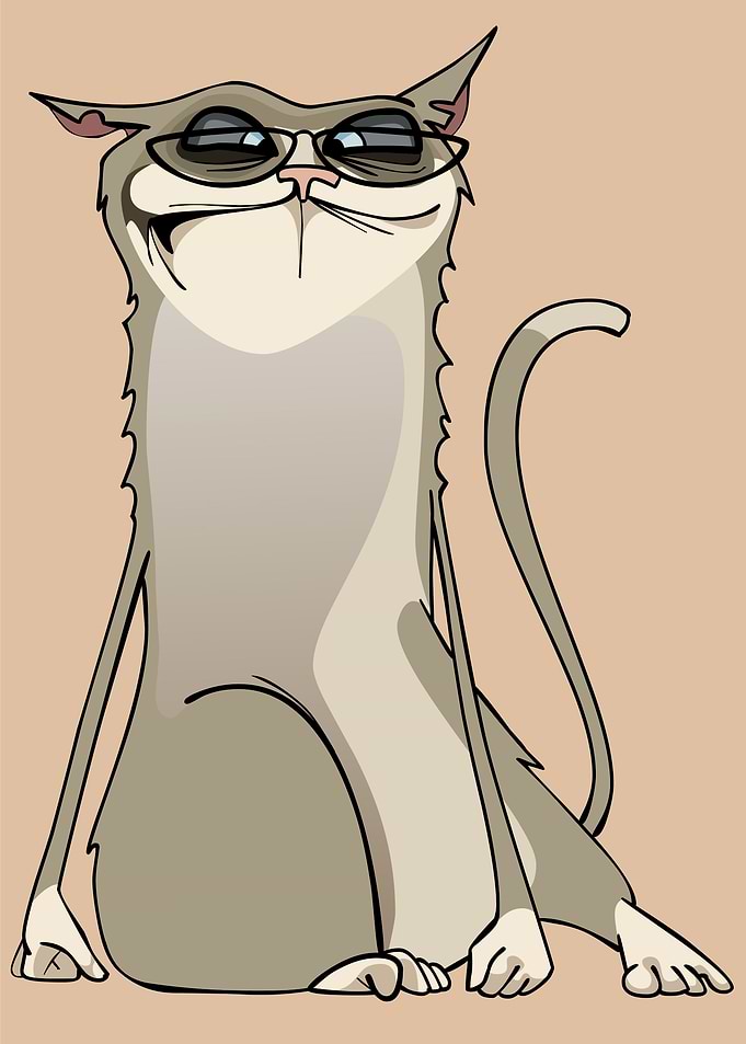 unhappy funny cat