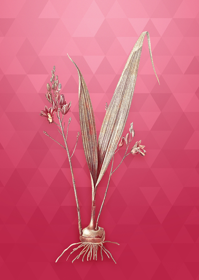 Pine Pink on Viva Magenta