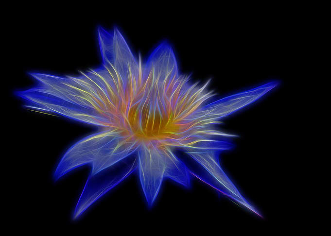 flower fractal