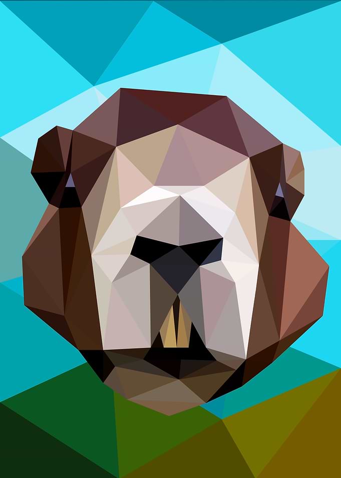 Beaver