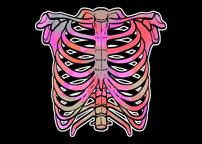 Rib Cage Scientist Or Doct