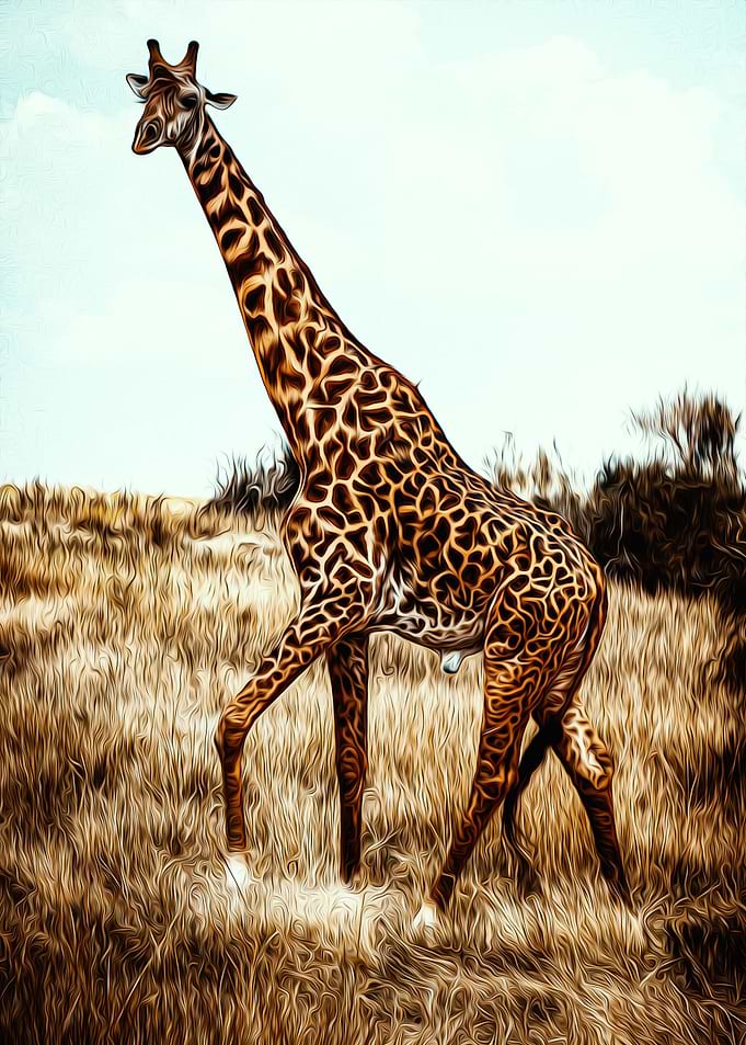 Giraffe