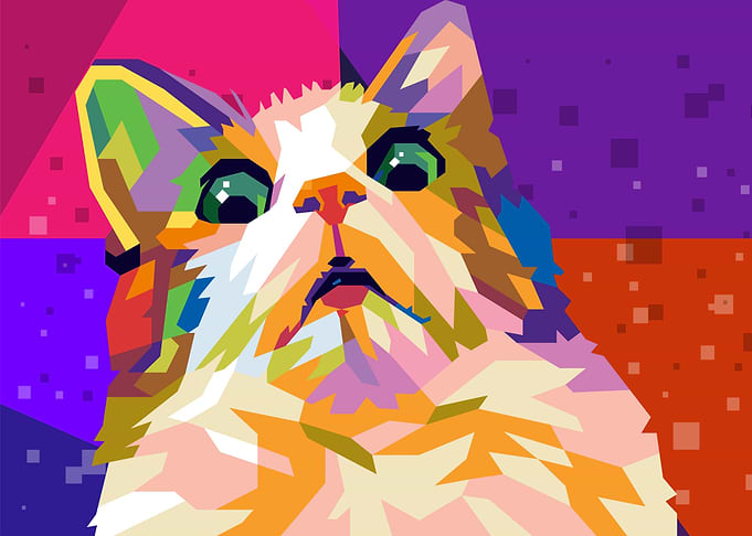 scared cat meme