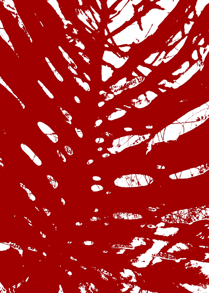 Red Velvet 87