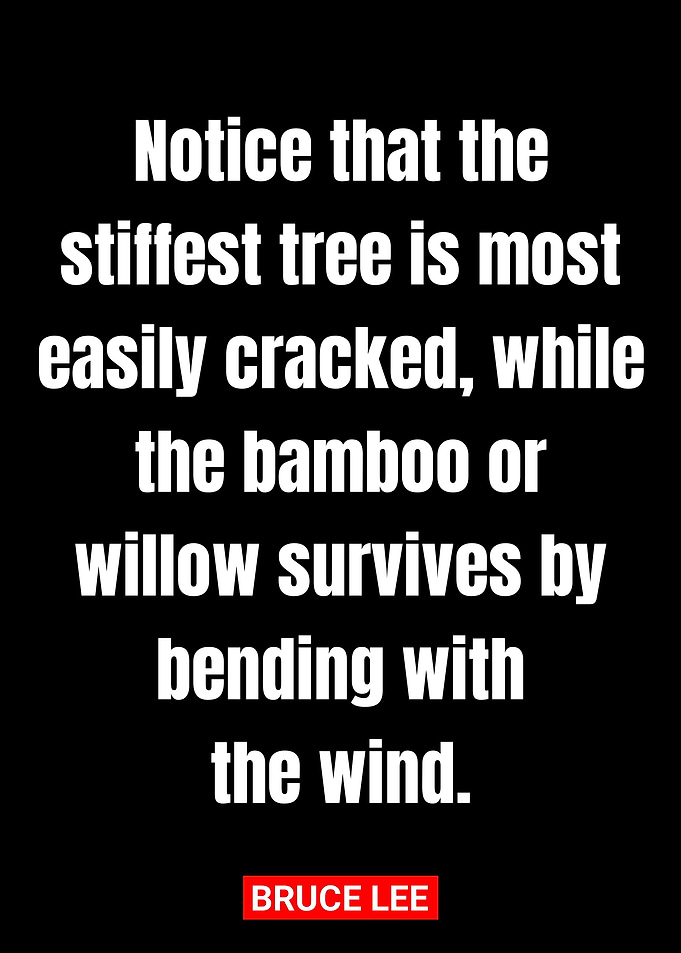 quote bruce lee