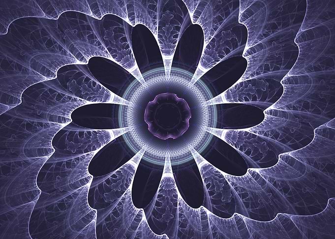 feathers blue purple