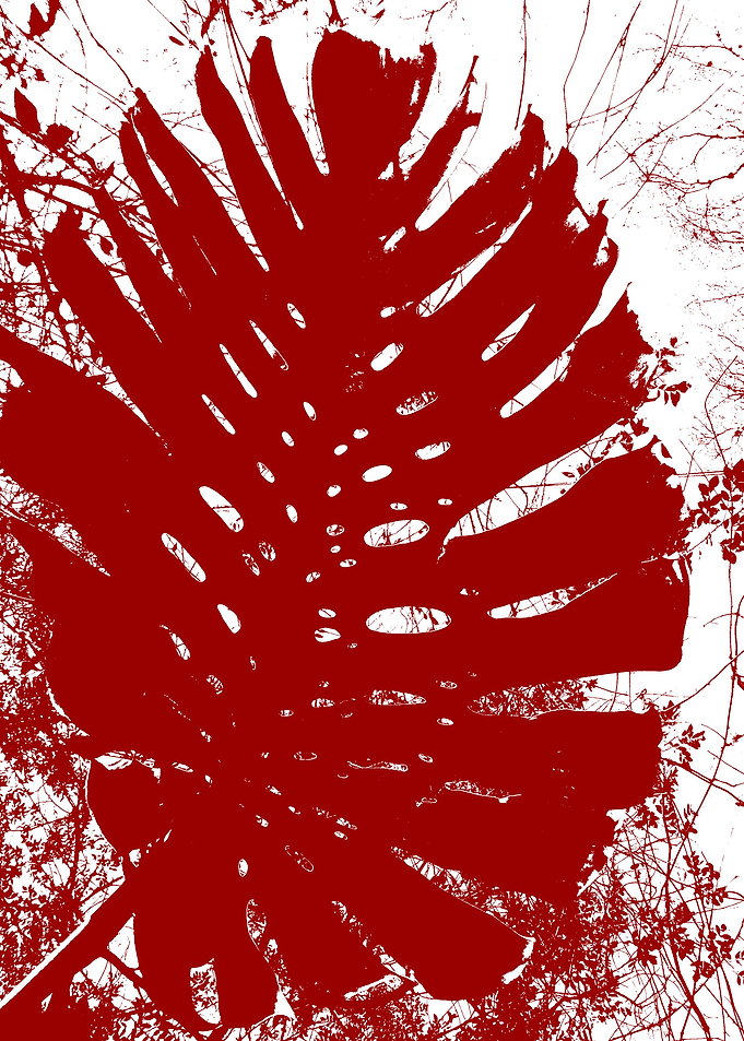Red Velvet 85