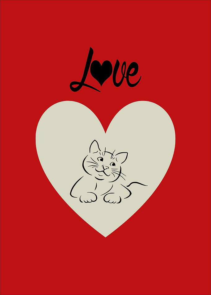 Love Cat