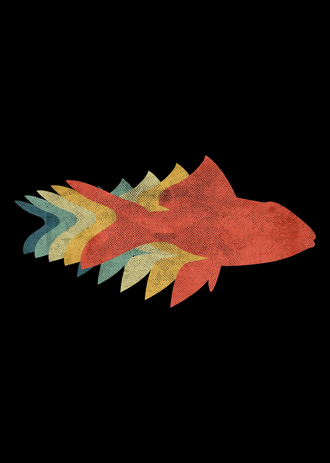 Fish34 Retro Vintage Color