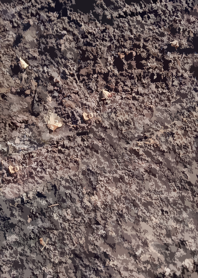 Muddy Tile Patterns 7