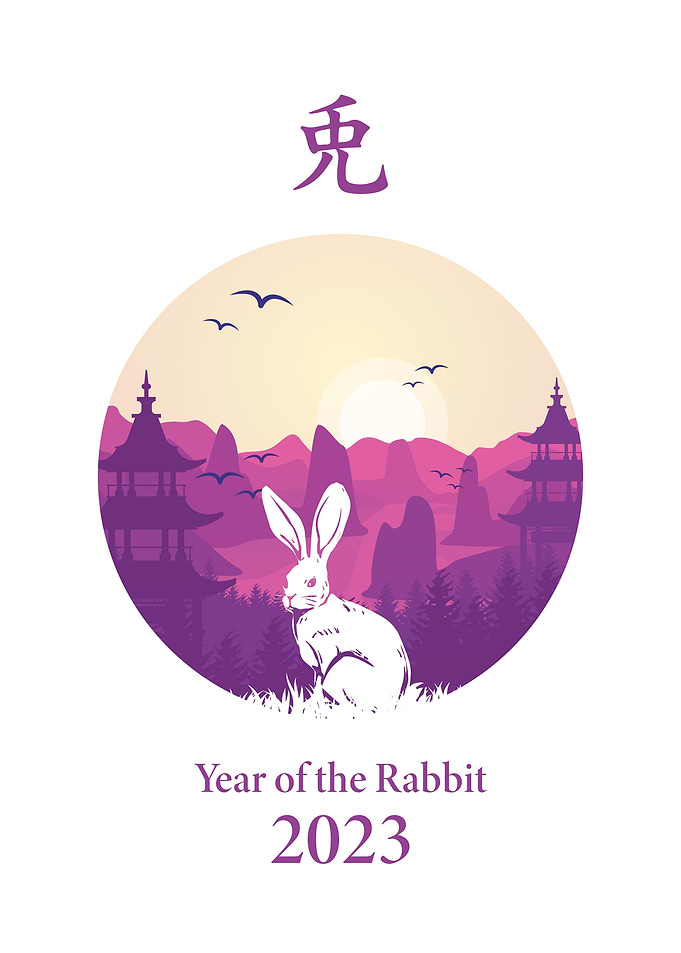 Chinese Rabbit