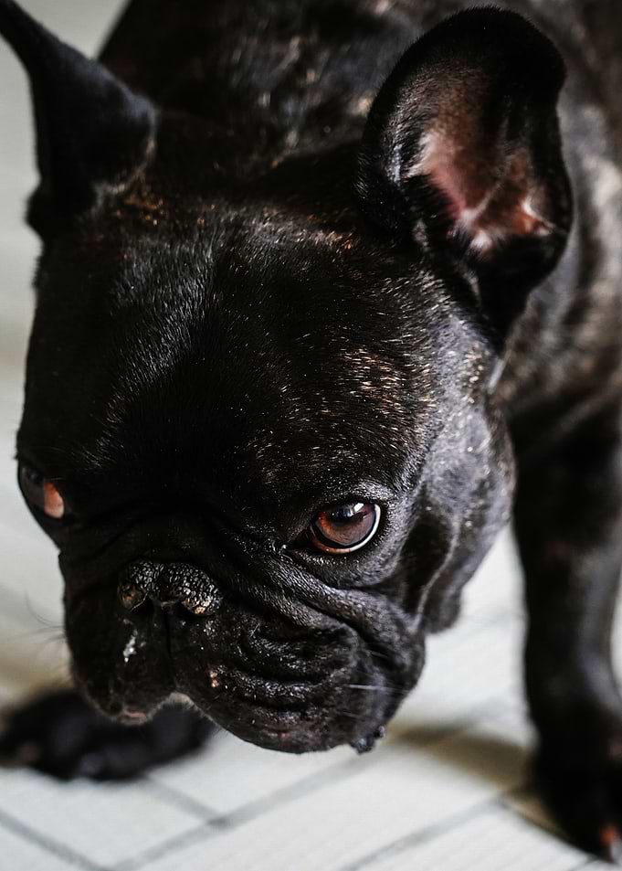 PUG