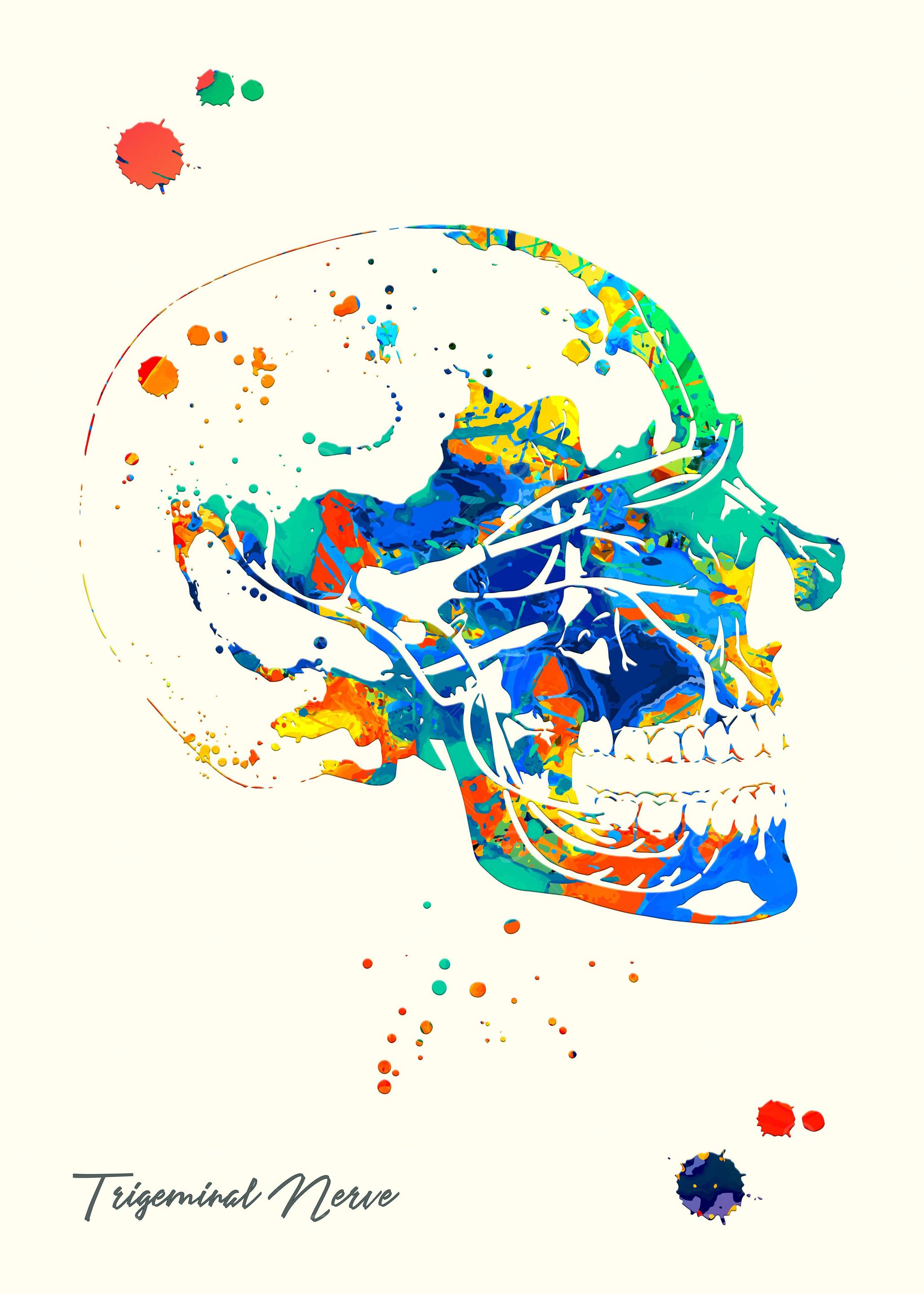 Trigeminal Nerve