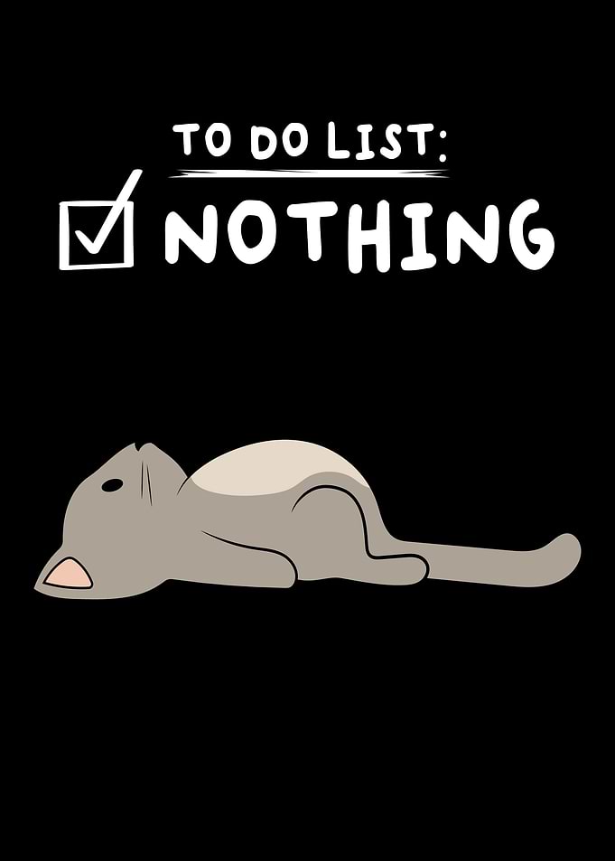To Do List Nothing Cat