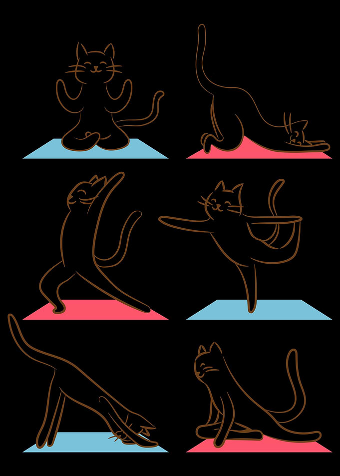 cat yoga pose cute instruc