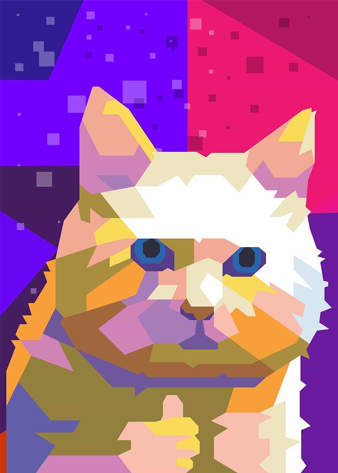 cat meme