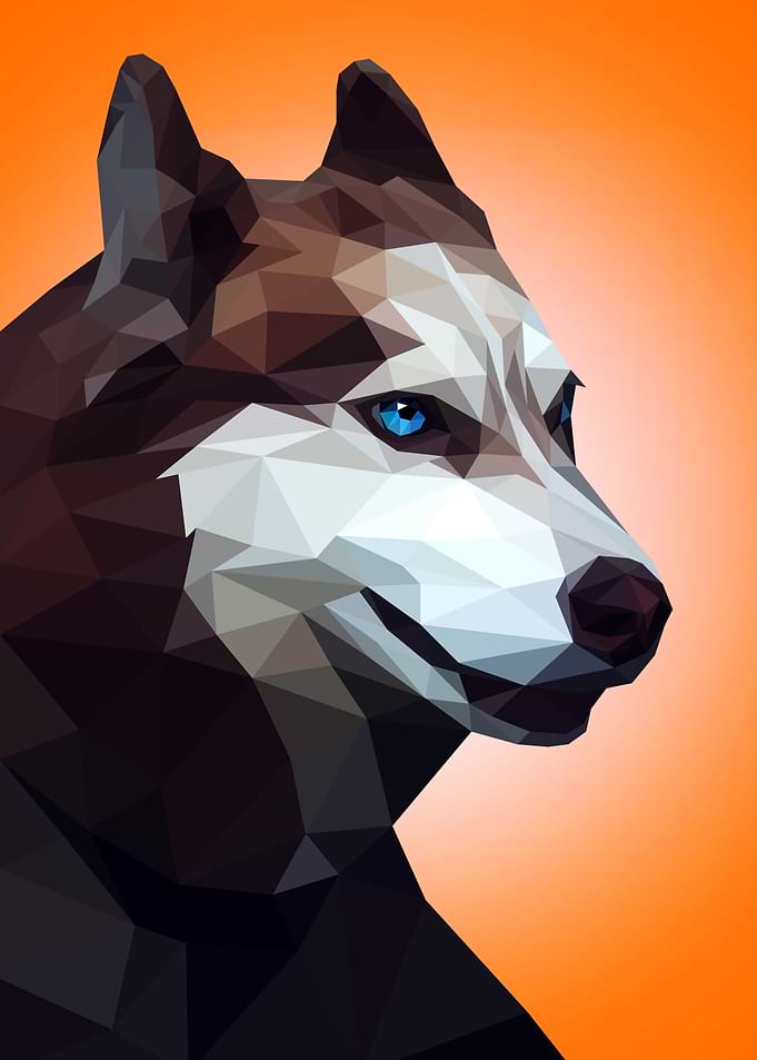 Husky