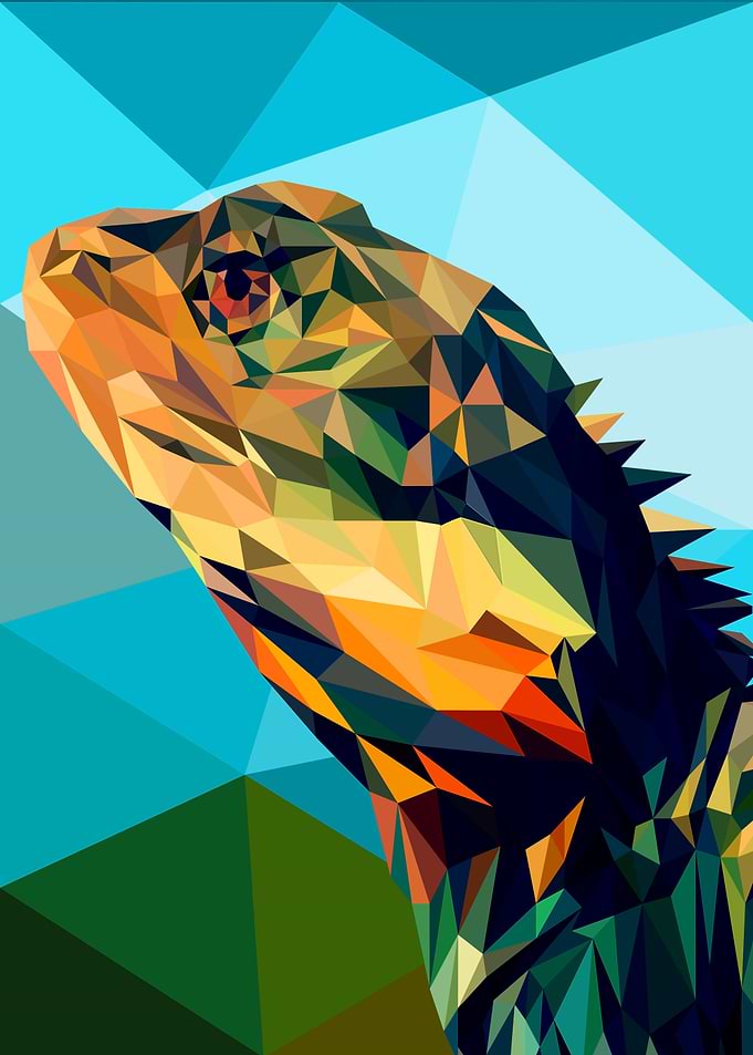 iguana