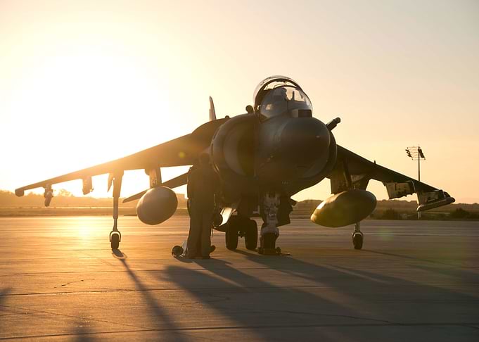 Harrier at Sunrise