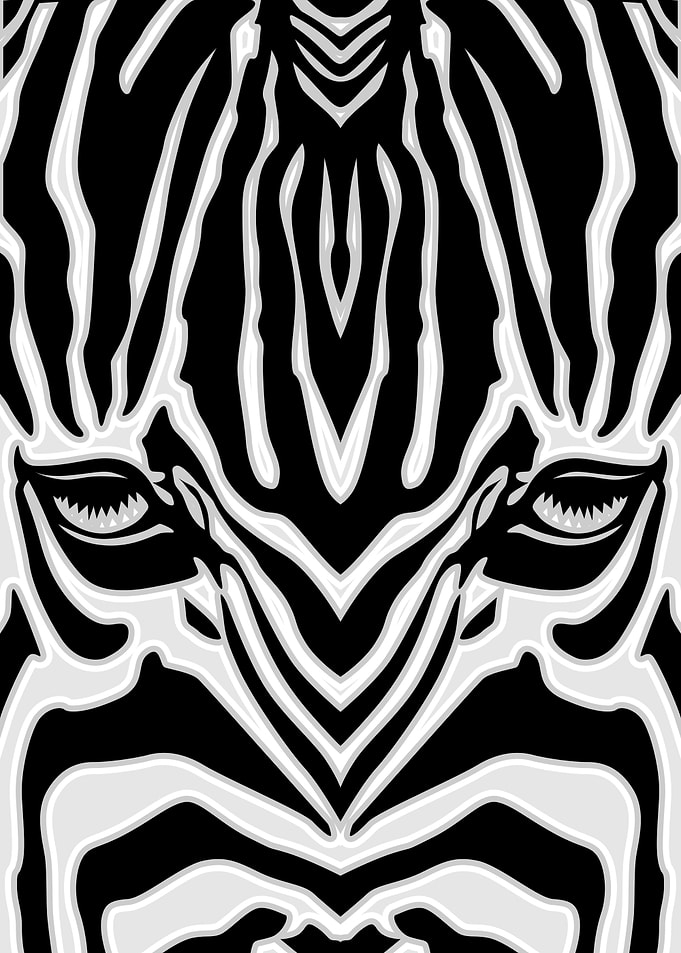 zebra beautiful skin