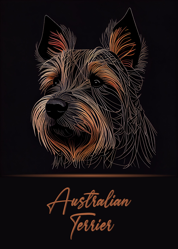 Australian Terrier