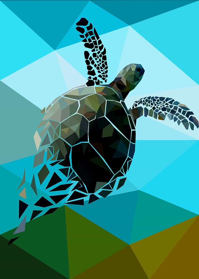 Turtle