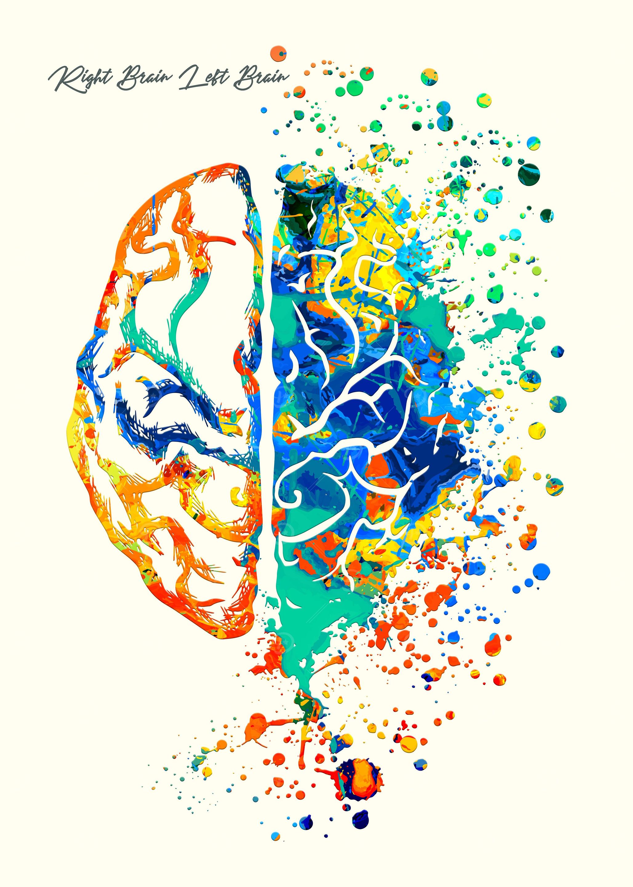 Right Brain Left Brain
