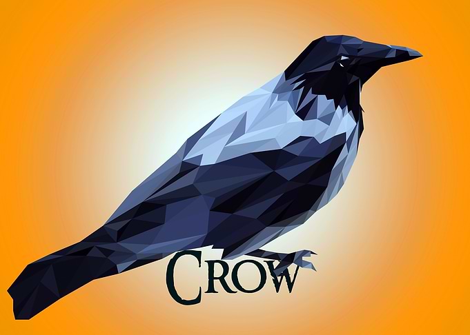 Craw