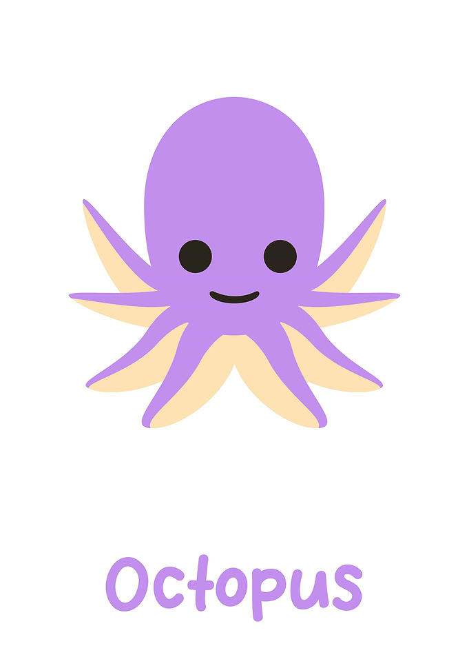 octopus