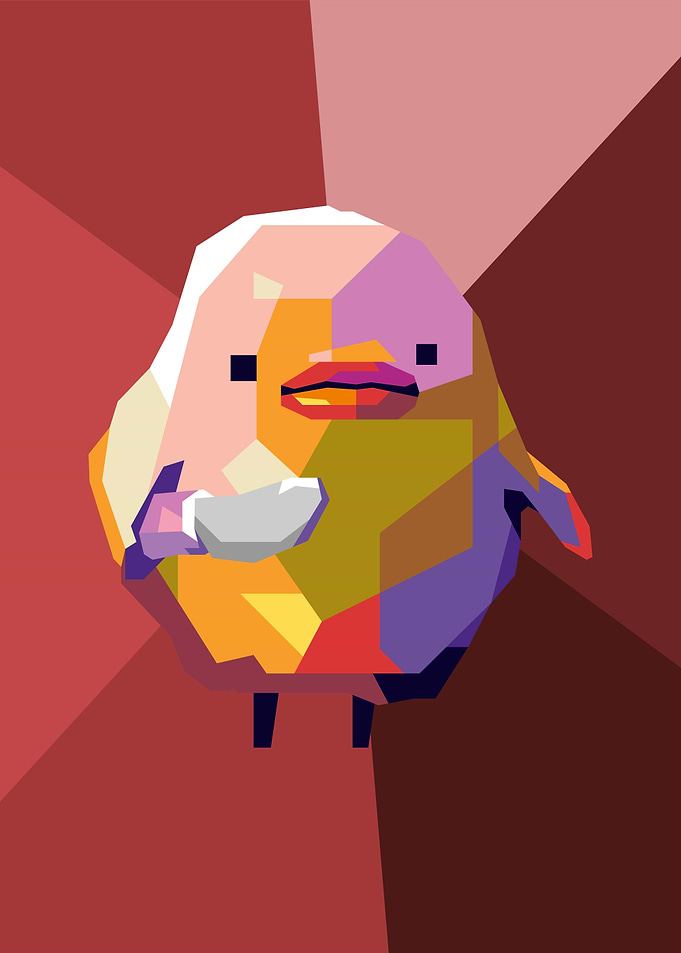 what the duck
