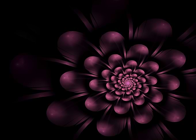 floral lilac violet