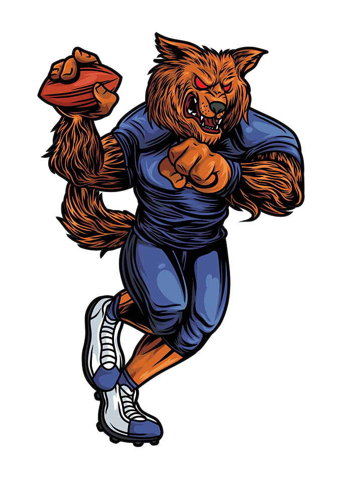 Fox American Football