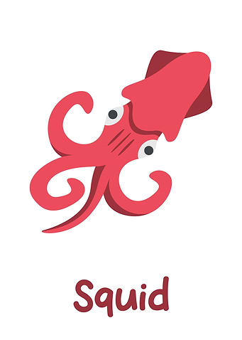 Squid
