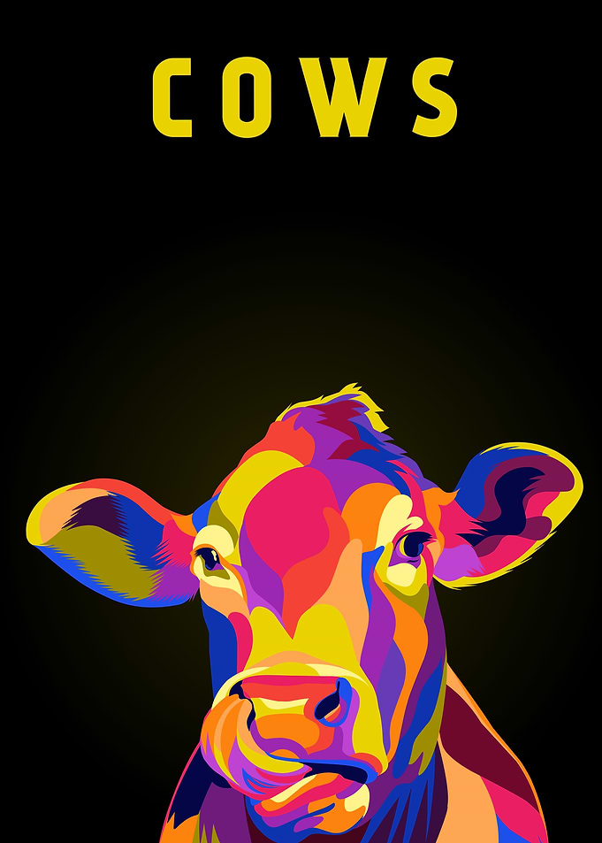 Cows licking