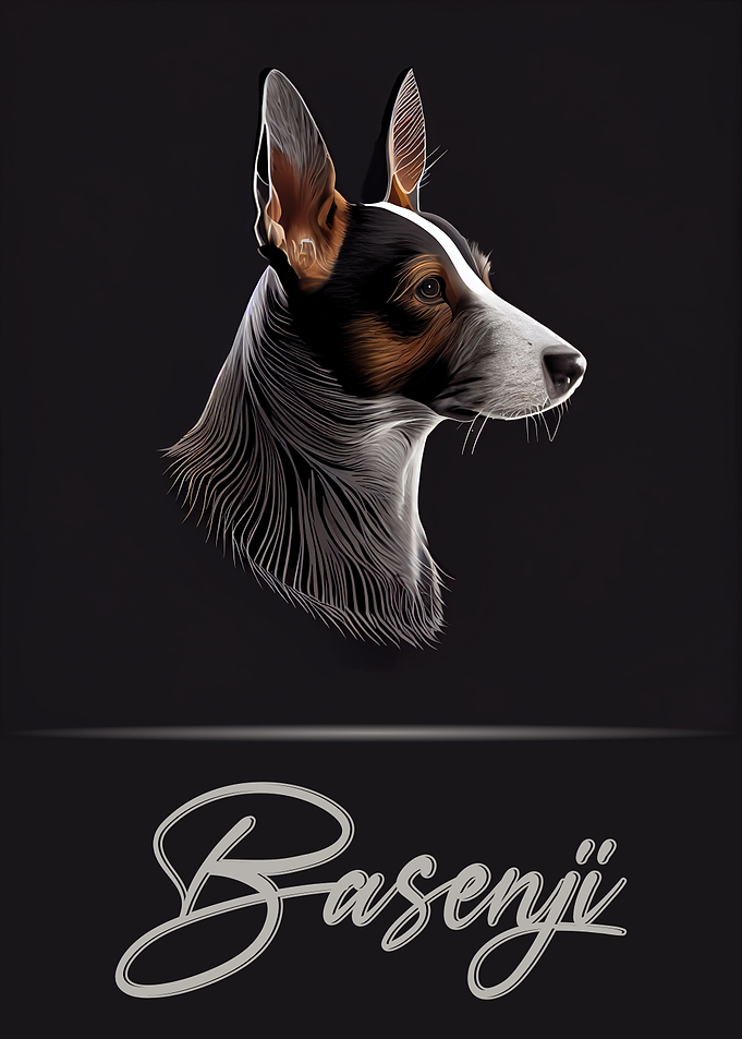 Basenji