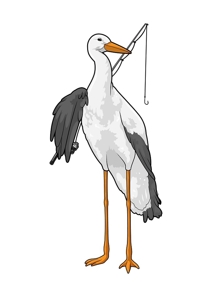 Stork Fisher Fishing