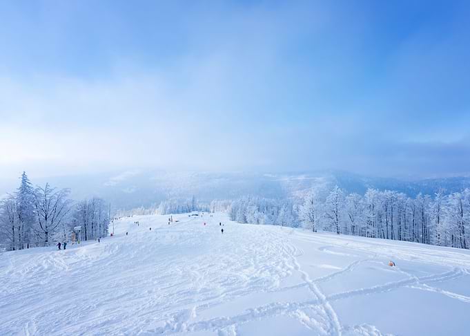 Winter mountain landscape