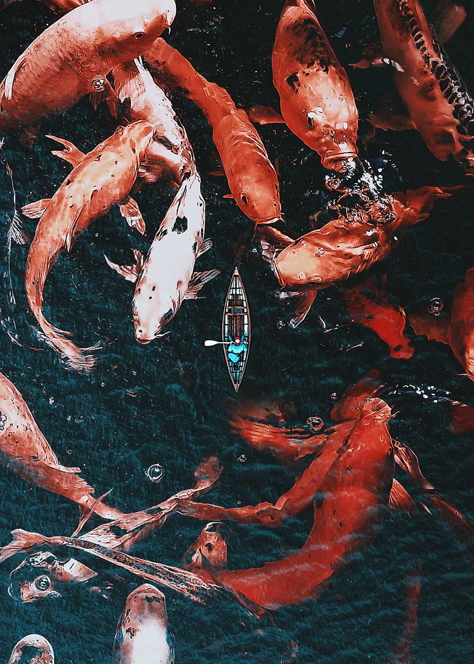 Giant Carps