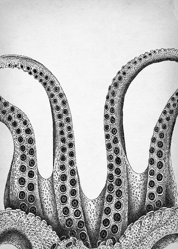 octopus piece 2 body