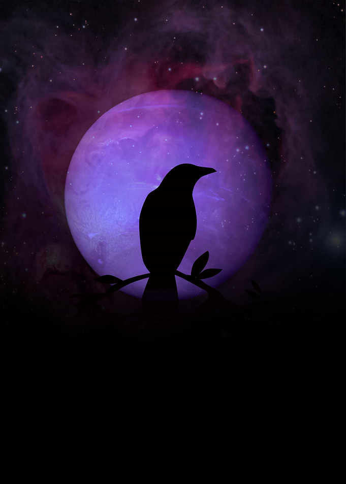 loose raven