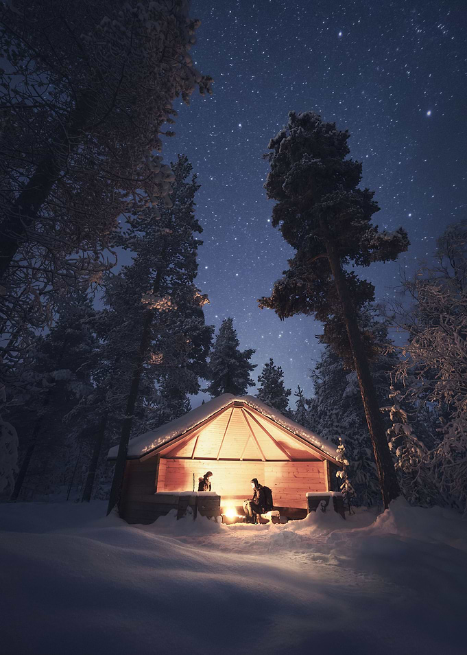 Winter Forest