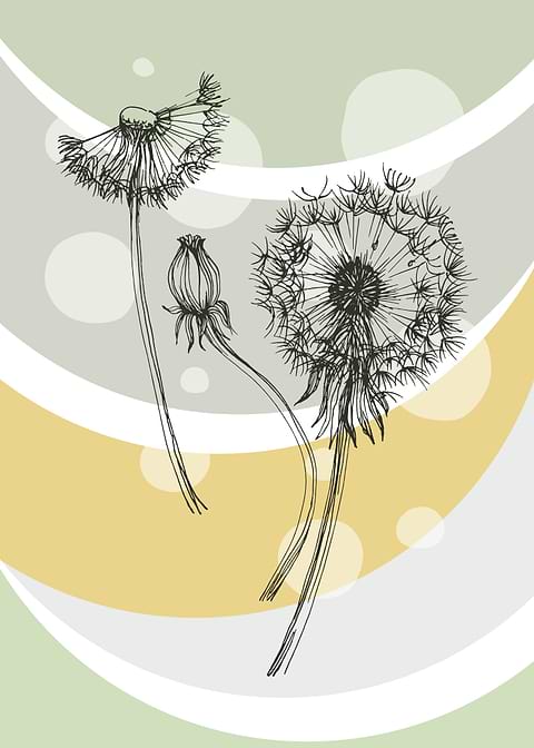 blowball