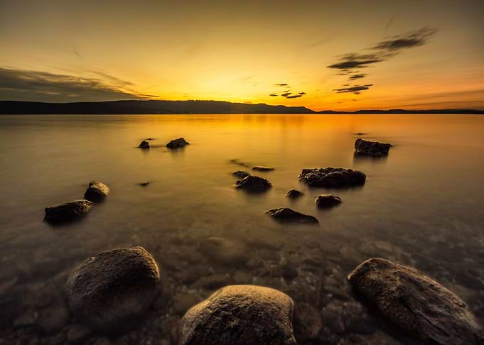 evening gold
