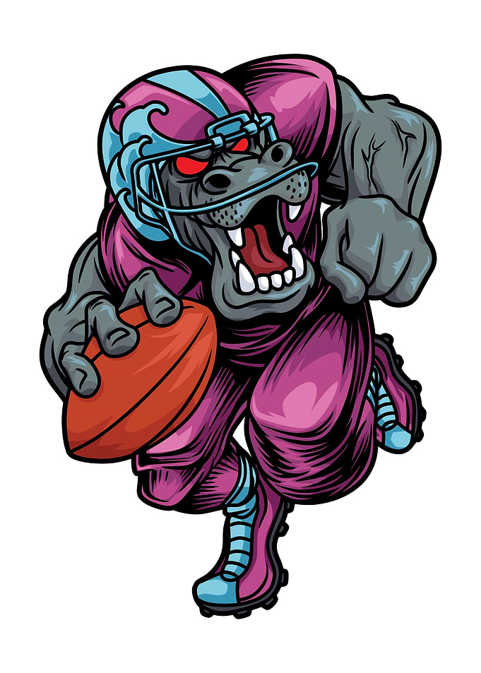 Hippo American Football
