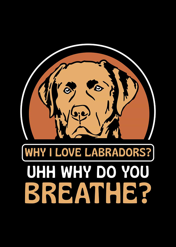 Labrador