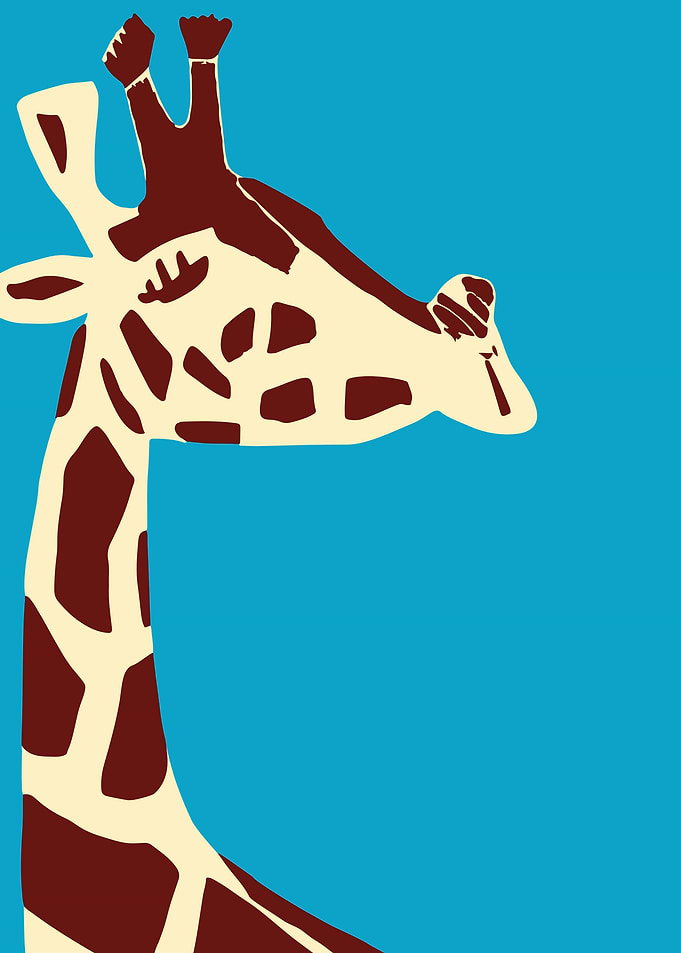Giraffe Portrait Poster