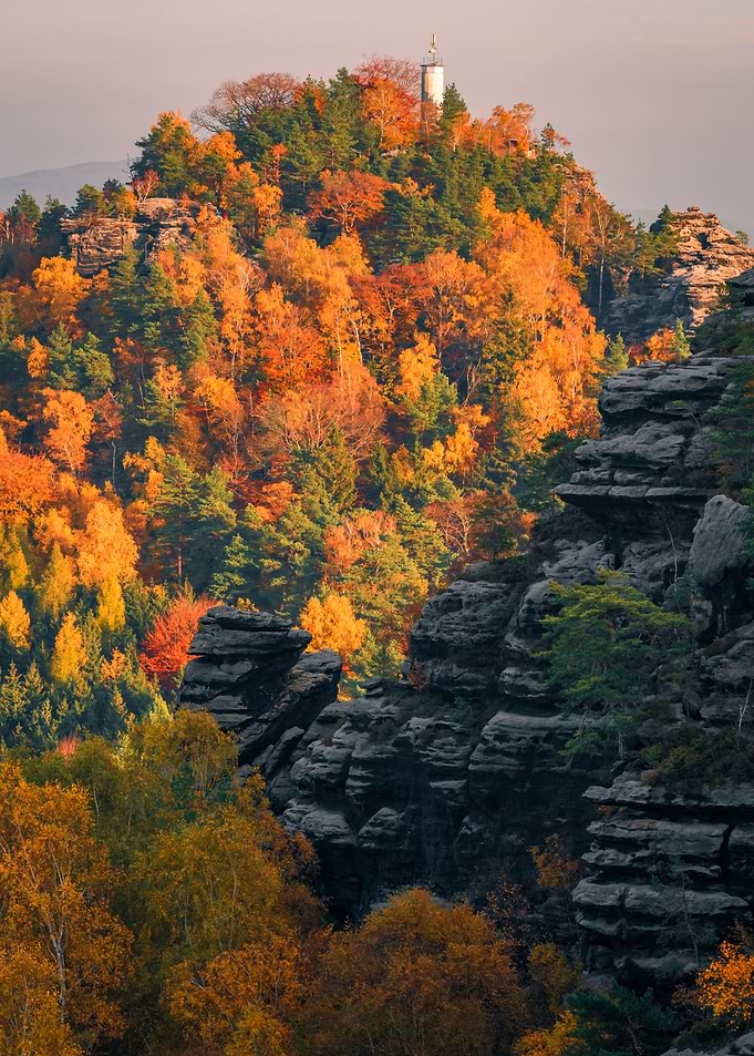 Autumn Vibes
