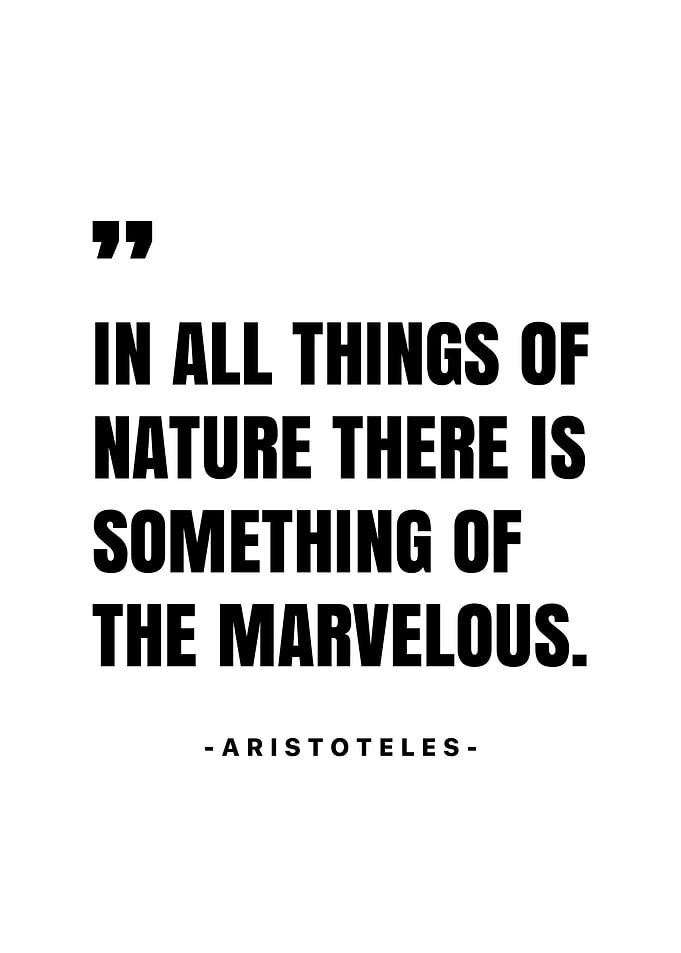 Aristoteles Quotes