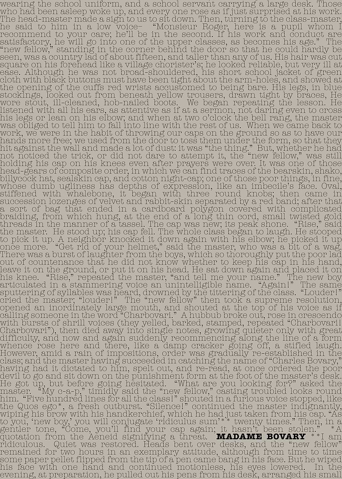 Madame Bovary Book Text